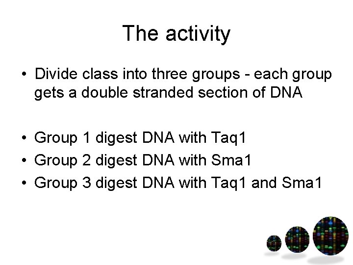 The activity • Divide class into three groups - each group gets a double