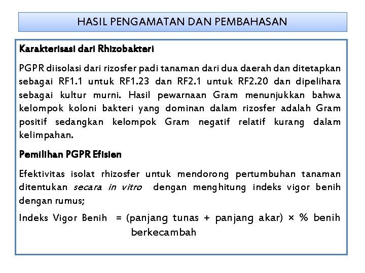 RIBOTYPING PLANT GROWTH PROMOTING RHIZOBACTERIA PGPR DARI TANAH