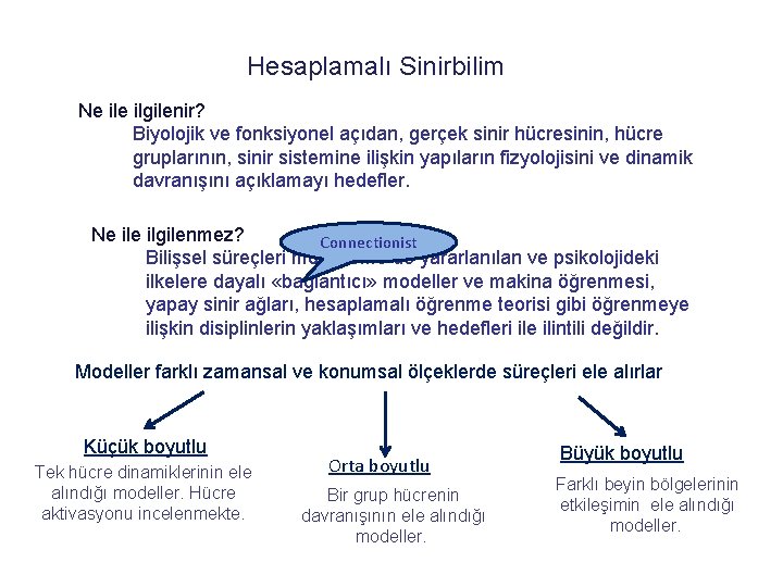 Hesaplamalı Sinirbilim Ne ilgilenir? Biyolojik ve fonksiyonel açıdan, gerçek sinir hücresinin, hücre gruplarının, sinir