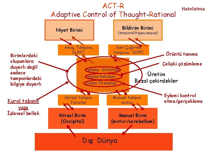ACT-R Adaptive Control of Thought-Rational Bildirim Birimi Niyet Birimi Birimlerdeki oluşumlara duyarlı değil sadece