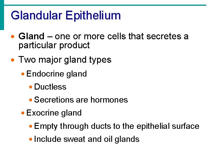 Glandular Epithelium · Gland – one or more cells that secretes a particular product