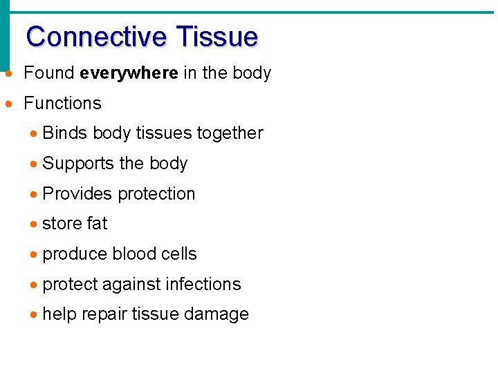 Connective Tissue · Found everywhere in the body · Functions · Binds body tissues Connective Tissue · Found everywhere in the body · Functions · Binds body tissues