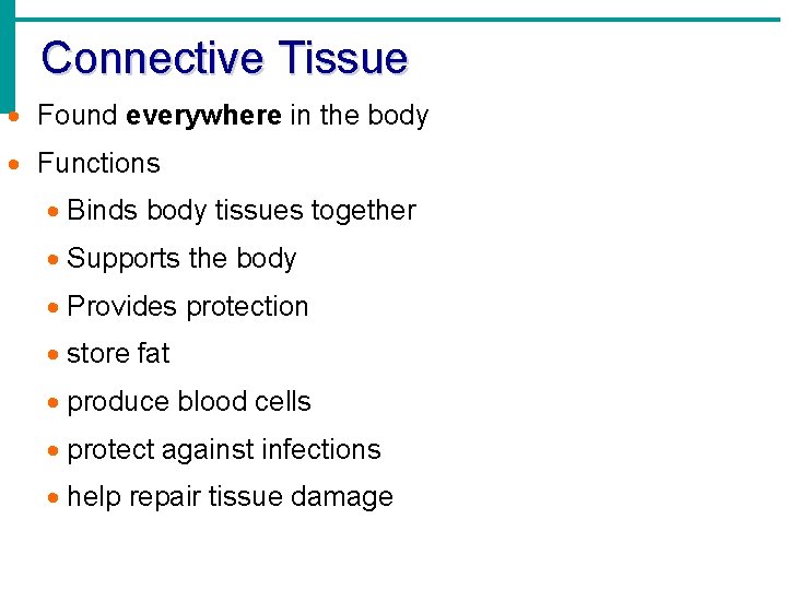 Connective Tissue · Found everywhere in the body · Functions · Binds body tissues