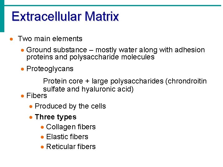 Extracellular Matrix · Two main elements · Ground substance – mostly water along with