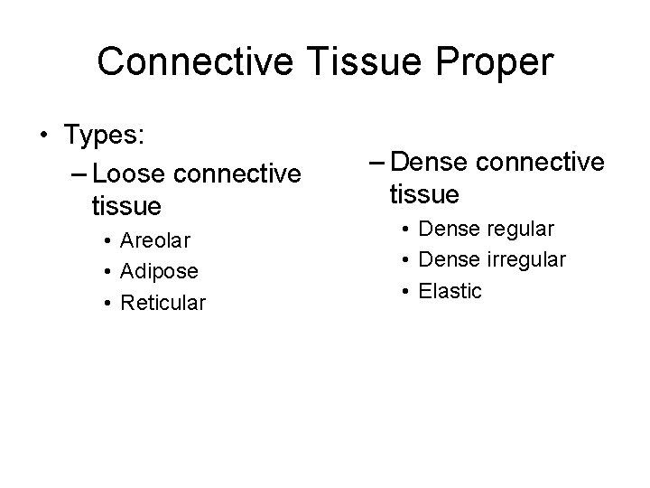 Connective Tissue Proper • Types: – Loose connective tissue • Areolar • Adipose •