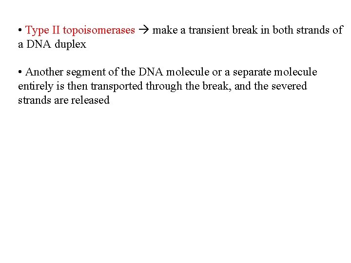  • Type II topoisomerases make a transient break in both strands of a