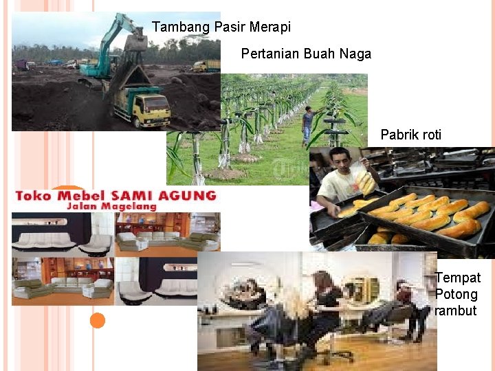 Tambang Pasir Merapi Pertanian Buah Naga Pabrik roti Tempat Potong rambut 