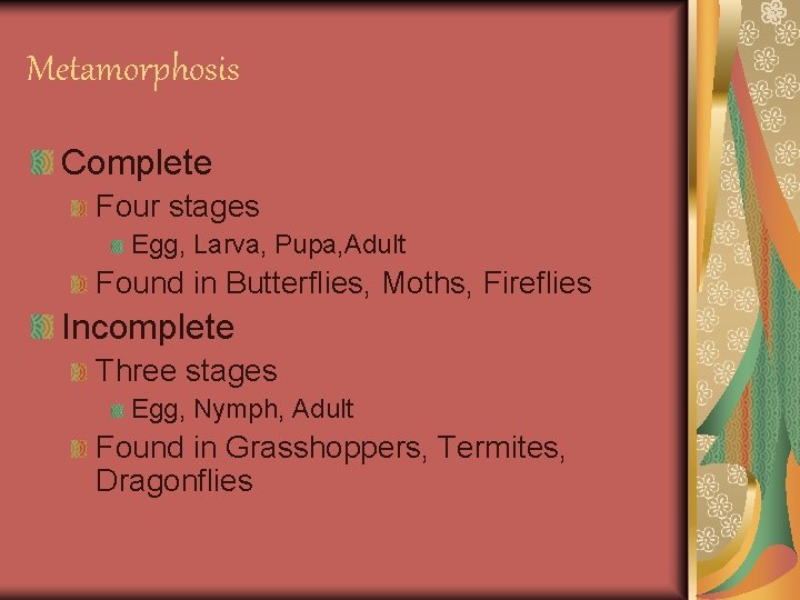 Metamorphosis Complete Four stages Egg, Larva, Pupa, Adult Found in Butterflies, Moths, Fireflies Incomplete