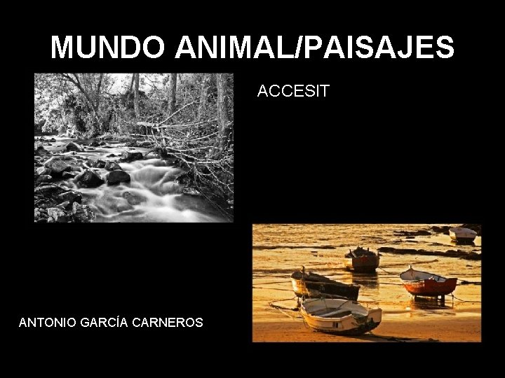 MUNDO ANIMAL/PAISAJES ACCESIT ANTONIO GARCÍA CARNEROS 