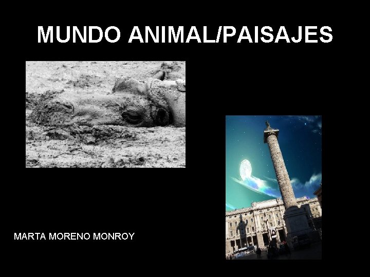 MUNDO ANIMAL/PAISAJES MARTA MORENO MONROY 