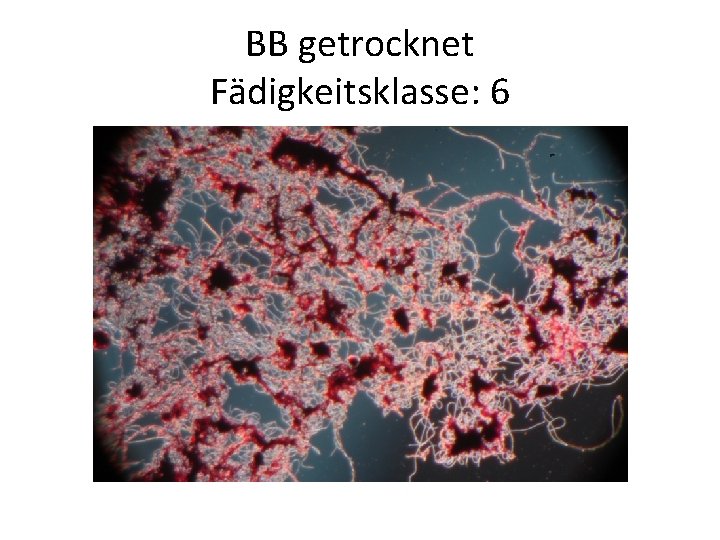 BB getrocknet Fädigkeitsklasse: 6 