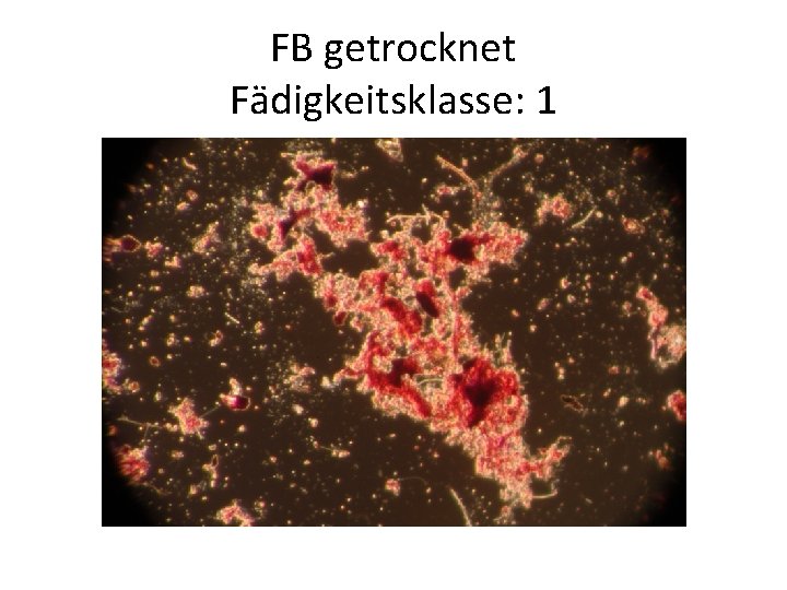 FB getrocknet Fädigkeitsklasse: 1 