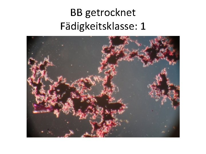BB getrocknet Fädigkeitsklasse: 1 