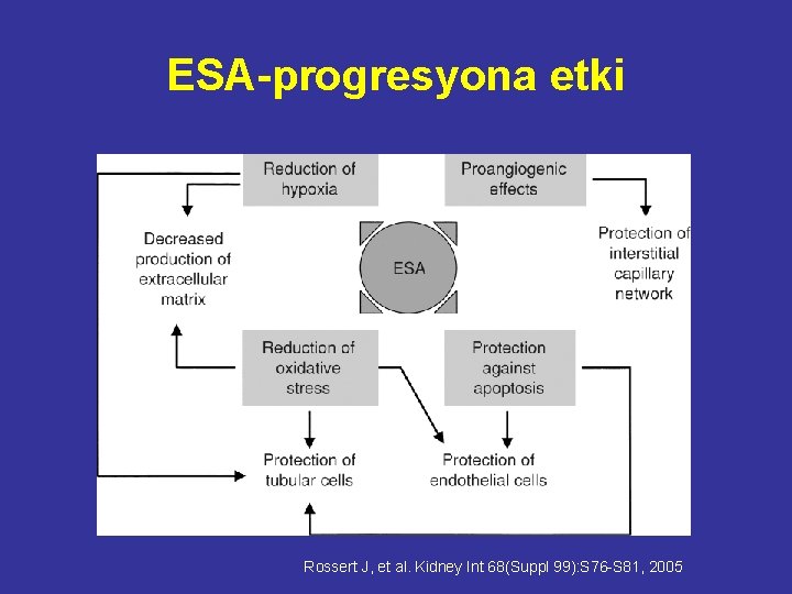 ESA-progresyona etki Rossert J, et al. Kidney Int 68(Suppl 99): S 76 -S 81,