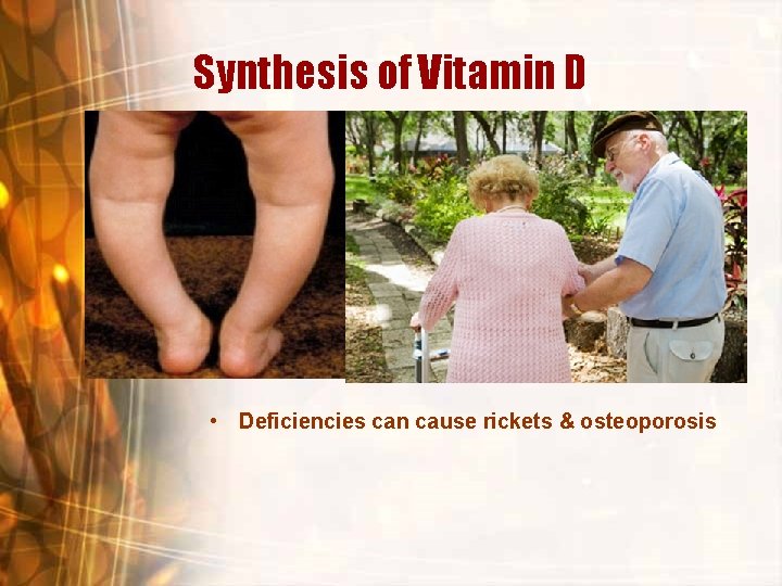 Synthesis of Vitamin D • 1 hr/wk of sunlight needed to activate the body's Synthesis of Vitamin D • 1 hr/wk of sunlight needed to activate the body's