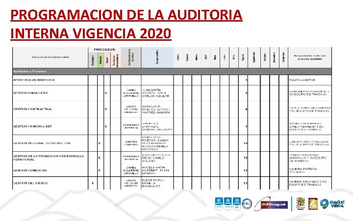 PROGRAMACION DE LA AUDITORIA INTERNA VIGENCIA 2020 