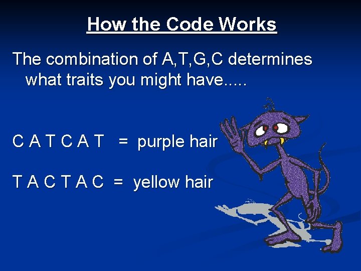 How the Code Works The combination of A, T, G, C determines what traits