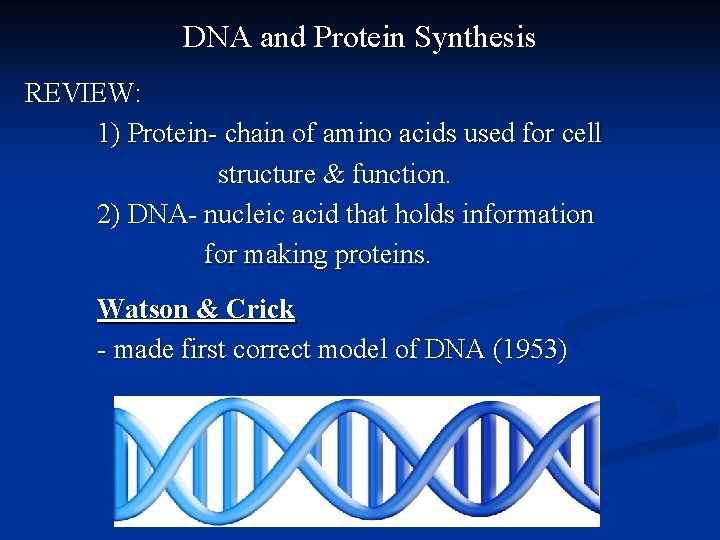 DNA and Protein Synthesis REVIEW: 1) Protein- chain of amino acids used for cell