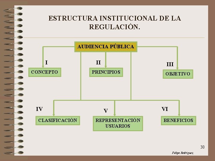 ESTRUCTURA INSTITUCIONAL DE LA REGULACIÓN. AUDIENCIA PÚBLICA I CONCEPTO IV CLASIFICACIÓN II III PRINCIPIOS