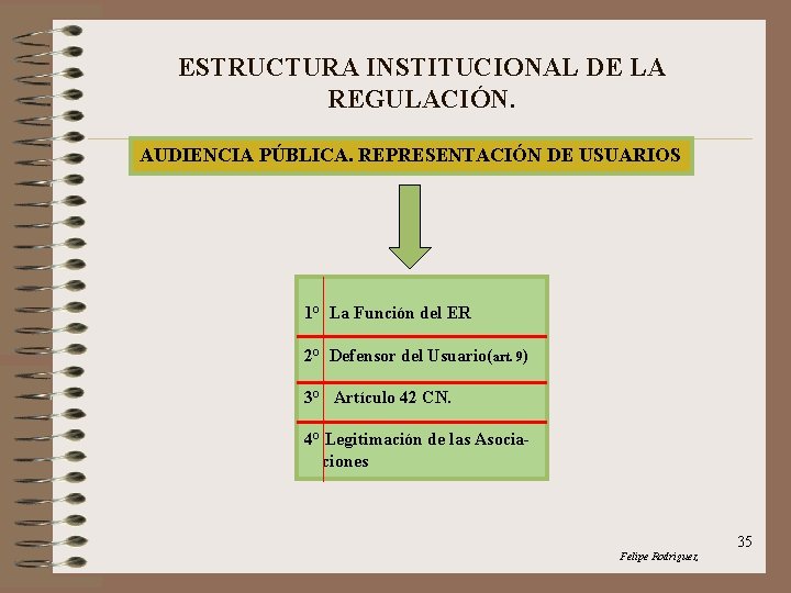 ESTRUCTURA INSTITUCIONAL DE LA REGULACIÓN. AUDIENCIA PÚBLICA. REPRESENTACIÓN DE USUARIOS 1° La Función del