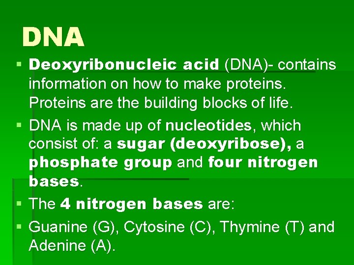 DNA § Deoxyribonucleic acid (DNA)- contains information on how to make proteins. Proteins are