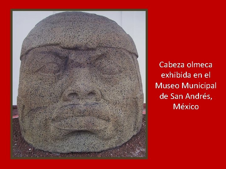 Cabeza olmeca exhibida en el Museo Municipal de San Andrés, México 