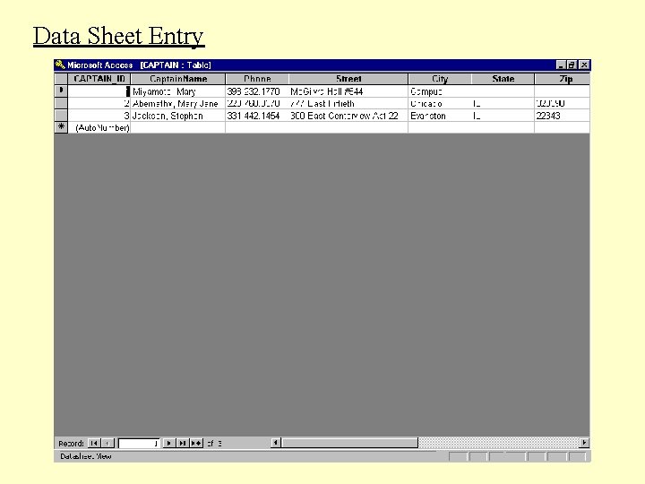 Data Sheet Entry Data Sheet Entry