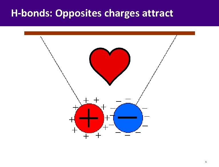 H-bonds: Opposites charges attract 6 