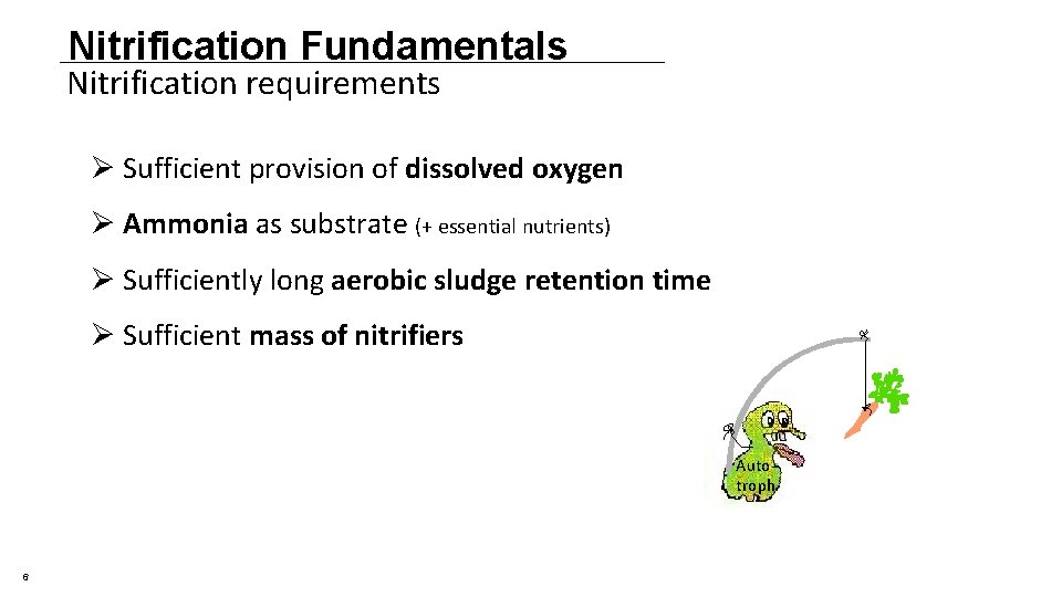 Nitrification Fundamentals Nitrification requirements Ø Sufficient provision of dissolved oxygen Ø Ammonia as substrate Nitrification Fundamentals Nitrification requirements Ø Sufficient provision of dissolved oxygen Ø Ammonia as substrate