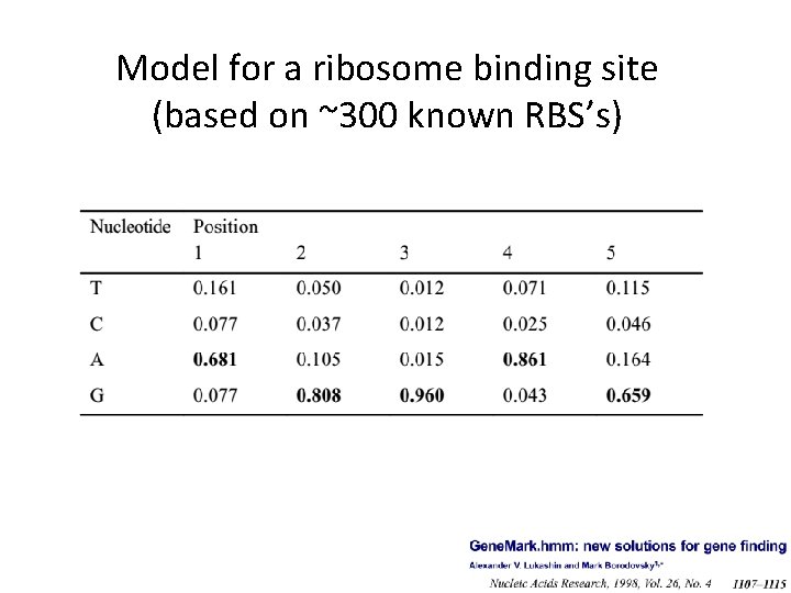 Model for a ribosome binding site (based on ~300 known RBS’s) 