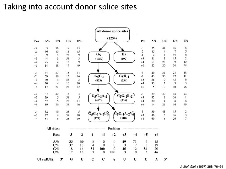 Taking into account donor splice sites 