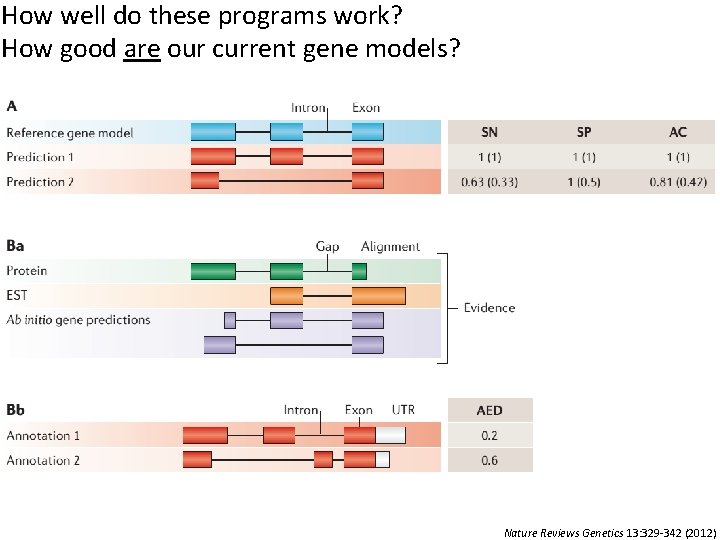 How well do these programs work? How good are our current gene models? Nature