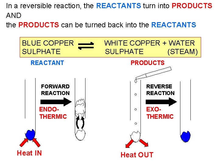 In a reversible reaction, the REACTANTS turn into PRODUCTS AND the PRODUCTS can be