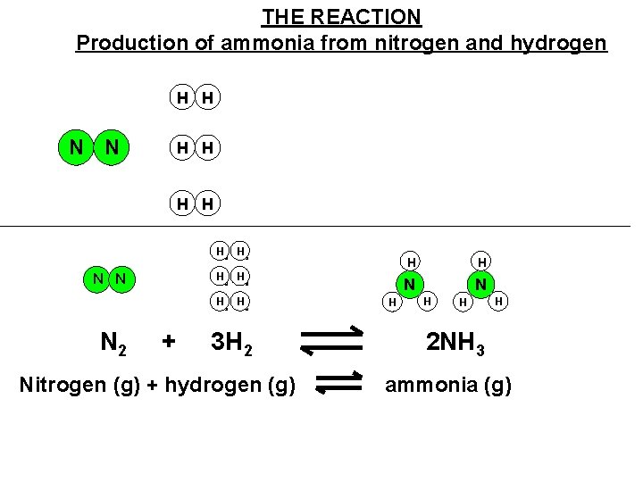 THE REACTION Production of ammonia from nitrogen and hydrogen H H N N H