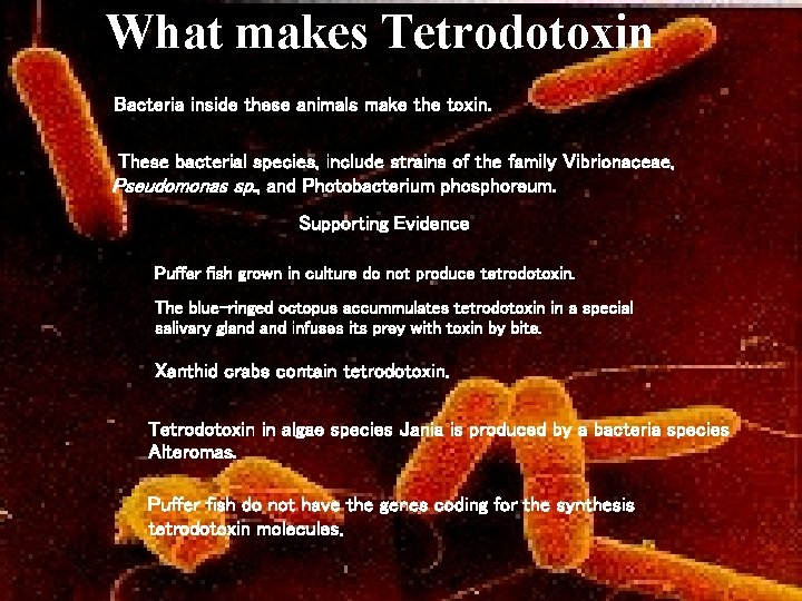 What makes Tetrodotoxin Bacteria inside these animals make the toxin. These bacterial species, include