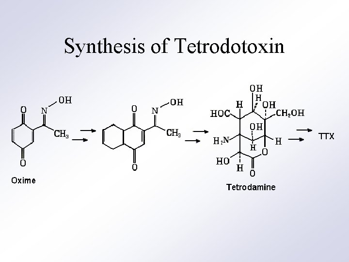 Synthesis of Tetrodotoxin 