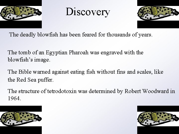 Discovery The deadly blowfish has been feared for thousands of years. The tomb of