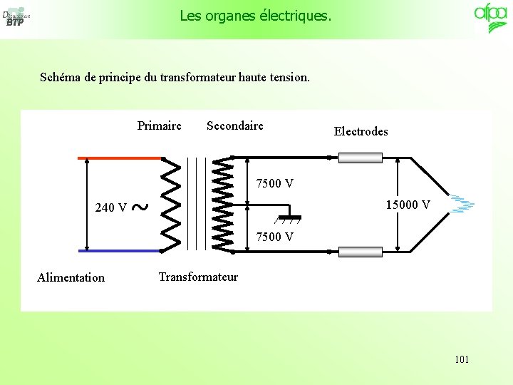 Les organes électriques. Schéma de principe du transformateur haute tension. Primaire 240 V Secondaire