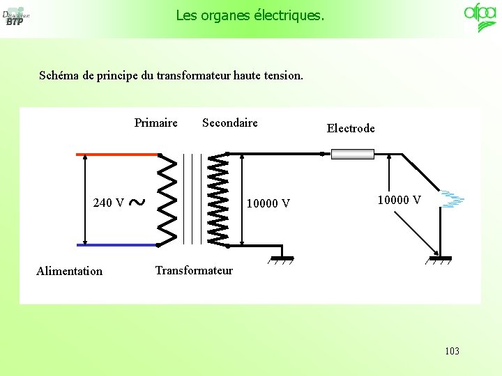 Les organes électriques. Schéma de principe du transformateur haute tension. Primaire 240 V Alimentation