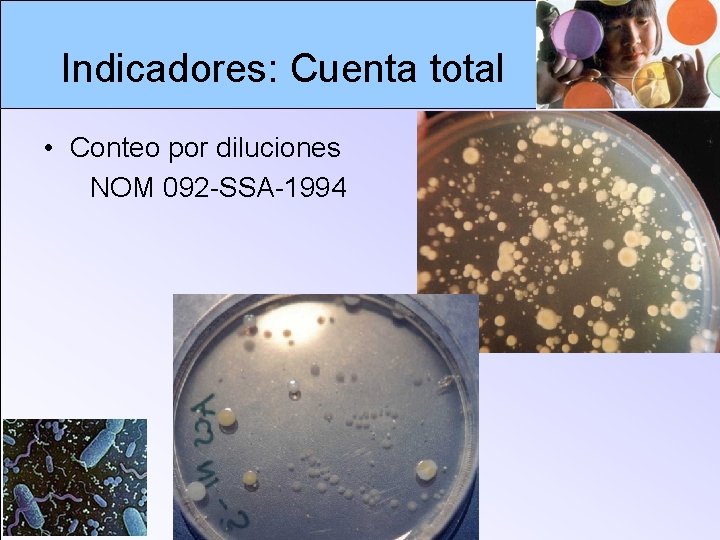 Nom 092 Ssa1 1994 Cuenta De Bacterias Aerobias En Placa slidetodoc.com