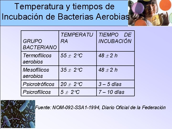 Nom 092 Ssa1 1994 Cuenta De Bacterias Aerobias En Placa slidetodoc.com