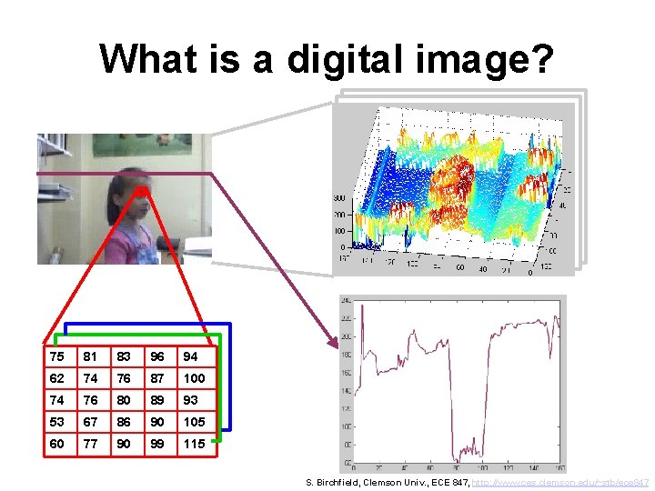 What is a digital image? 75 81 83 96 94 62 74 76 87