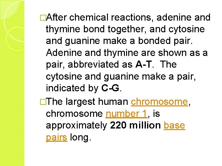 �After chemical reactions, adenine and thymine bond together, and cytosine and guanine make a