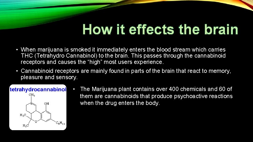 How it effects the brain • When marijuana is smoked it immediately enters the