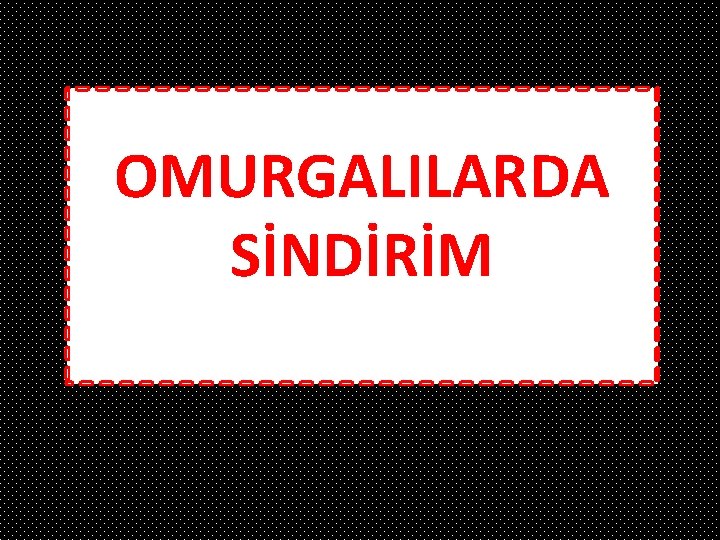 OMURGALILARDA SİNDİRİM 