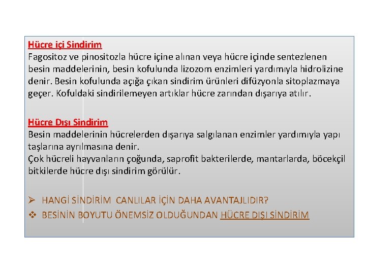 Hücre içi Sindirim Fagositoz ve pinositozla hücre içine alınan veya hücre içinde sentezlenen besin