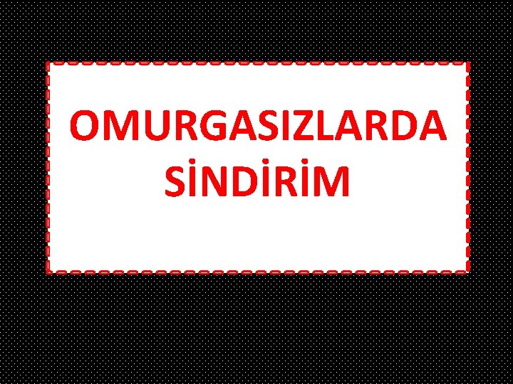 OMURGASIZLARDA SİNDİRİM 