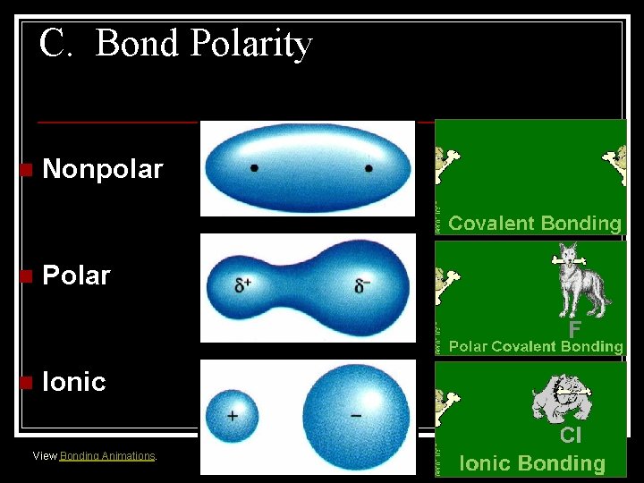 C. Bond Polarity n Nonpolar n Polar n Ionic View Bonding Animations. 