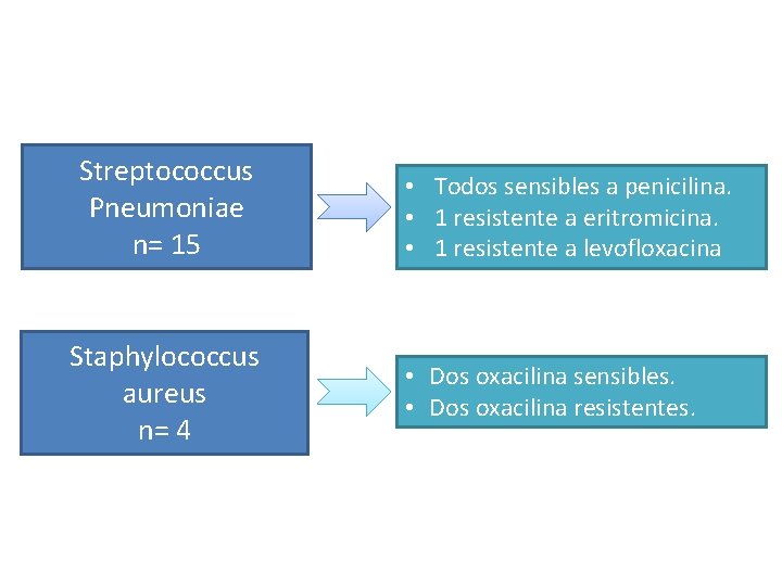 Streptococcus Pneumoniae n= 15 Staphylococcus aureus n= 4 • Todos sensibles a penicilina. • Streptococcus Pneumoniae n= 15 Staphylococcus aureus n= 4 • Todos sensibles a penicilina. •