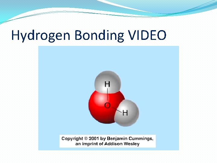 Hydrogen Bonding VIDEO  Hydrogen Bonding VIDEO